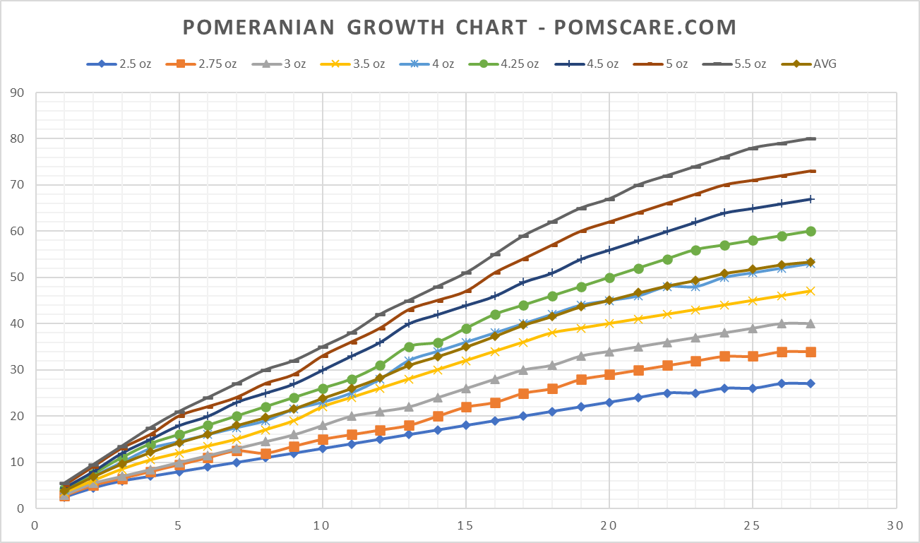 Pomeranian Growth Chart - 2022 Updated | PomsCare