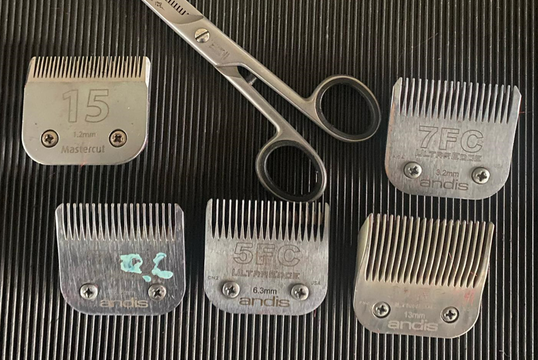 What Size Clipper Blade To Use On A Pomeranian? Selection Guide PomsCare