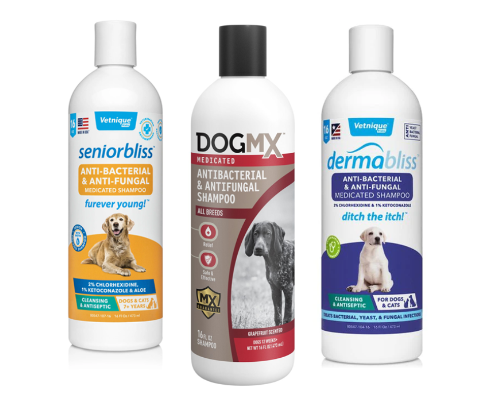 medicated shampoo for pomeranian hair loss