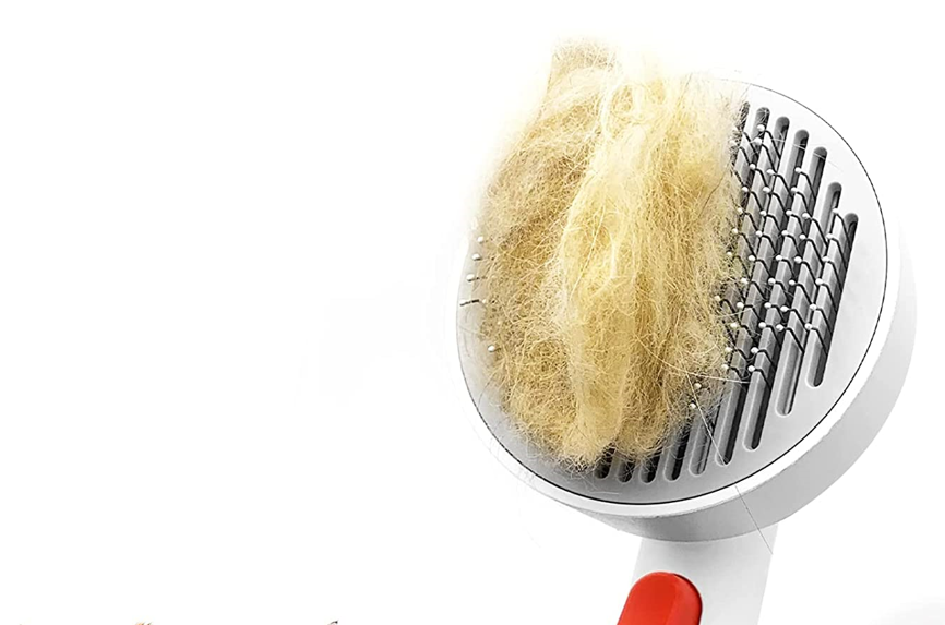 Awpland Pet Pumpkin Self Cleaning Slicker Brush