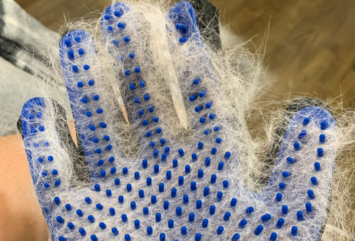 DELOMO Pet Grooming Glove