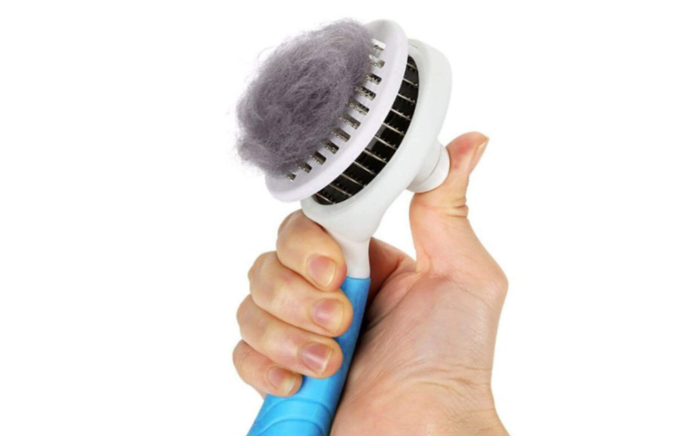 12 Best Brushes For Grooming Pomeranians - Pomscare